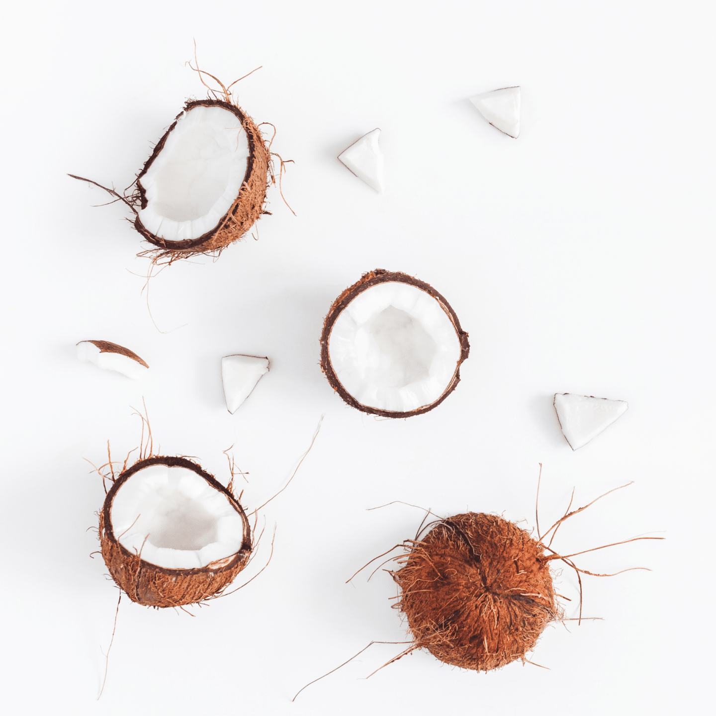 coconut-by-products-list